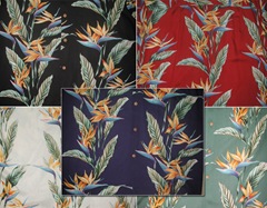 bird of paradise panel