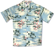 plumeria-island-boys