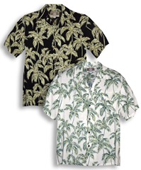 Palm Trees