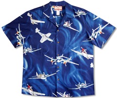 USAF WWII Airplanes