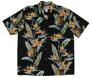 Click Here for All Five Shirts